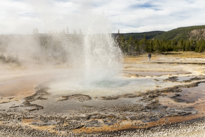 Old Faithful Geyser Area Yellowstone 2024